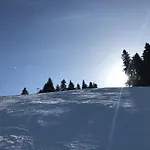 In Flora * Borovets