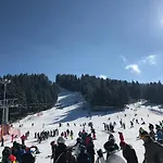 In Flora * Borovets