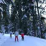 Appartement In Flora Borovets