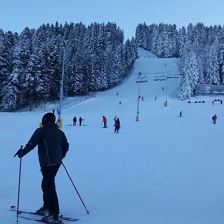 In Flora Appartement