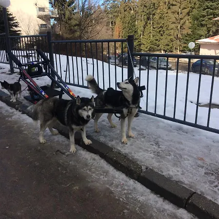 Appartement In Flora *