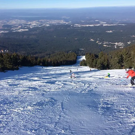 In Flora Appartement *