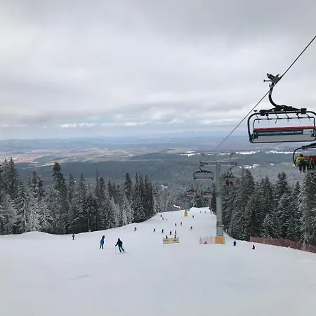 Apartmán In Flora *