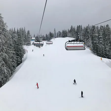 In Flora Appartement