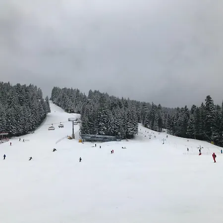 Apartment In Flora Borovets