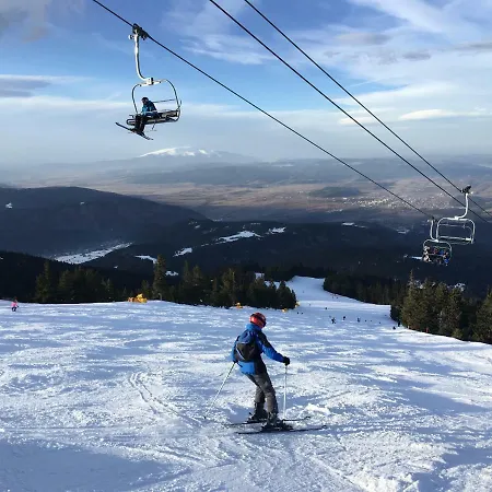 Appartement In Flora *