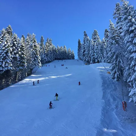 In Flora Borovets