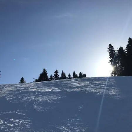 In Flora * Borovets
