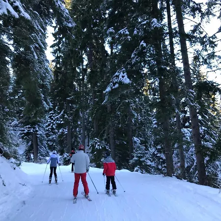 Appartement In Flora Borovets