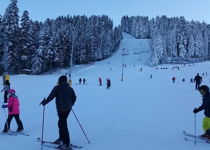 In Flora Apartamento