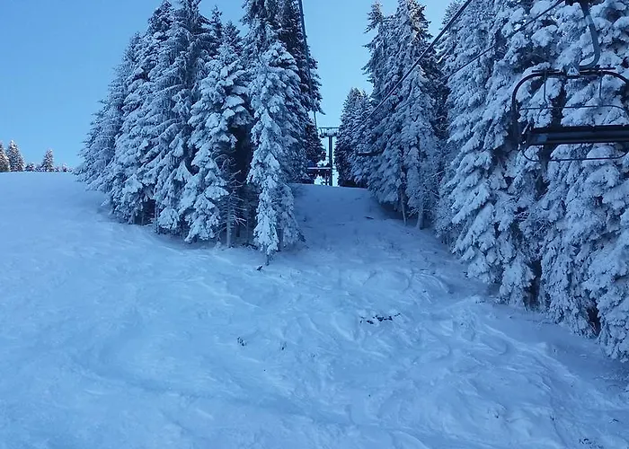 Apartamento In Flora