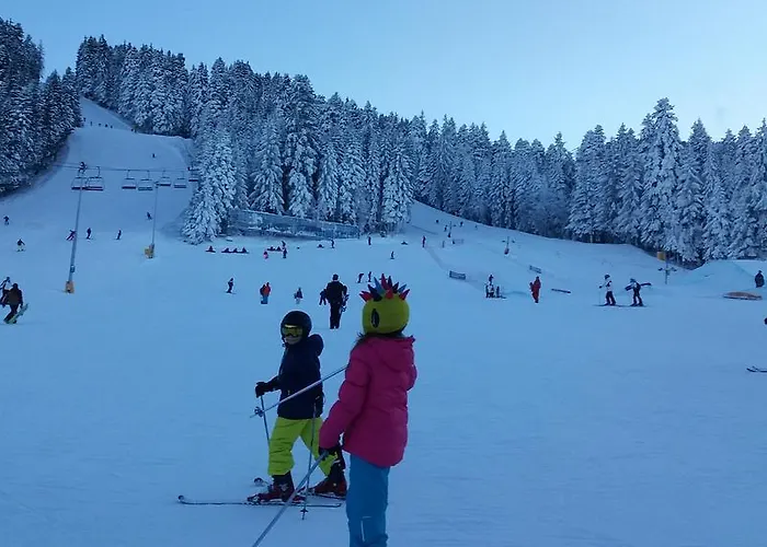 In Flora Apartamento Borovets