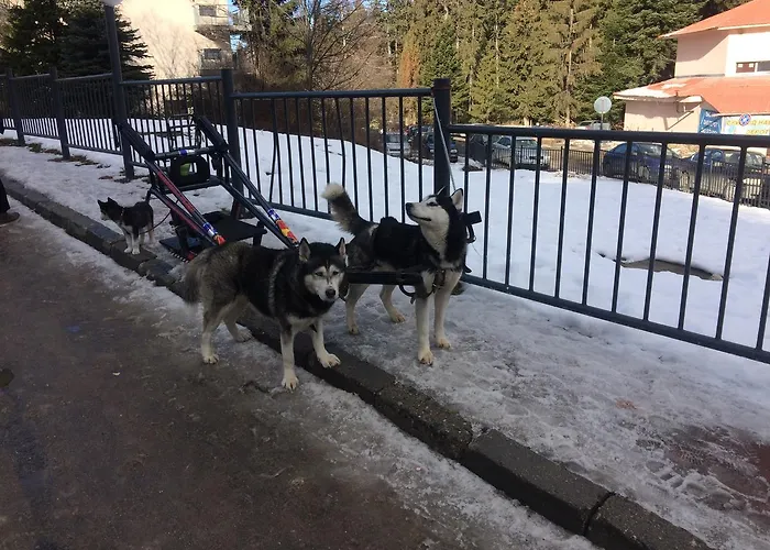 Apartamento In Flora *