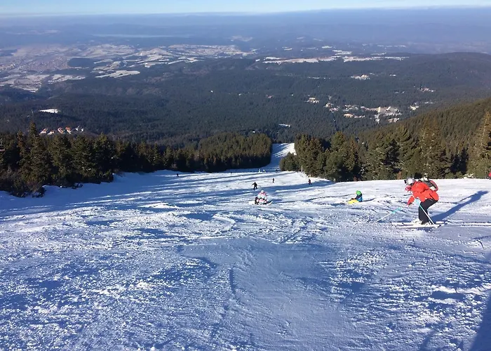 In Flora Apartamento *