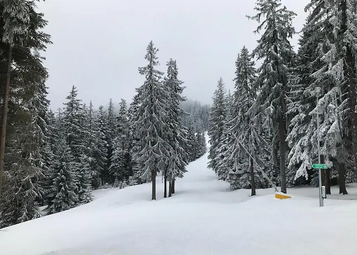 Apartamento In Flora