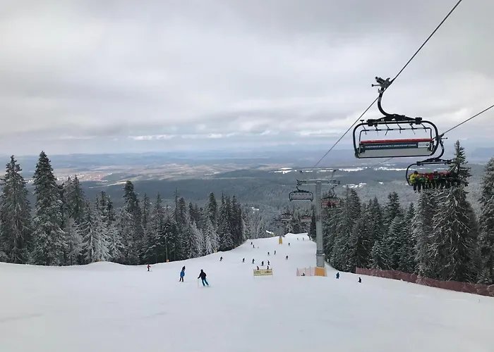 Apartamento In Flora *