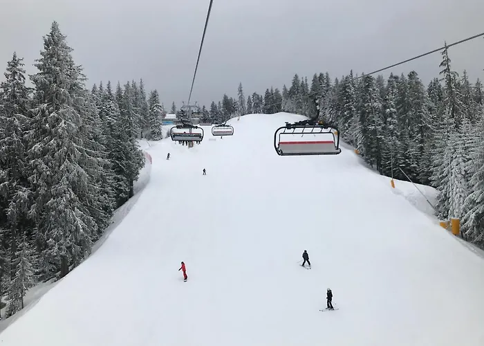 In Flora Apartamento