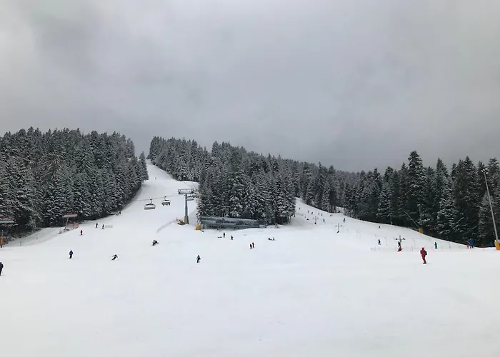 Apartamento In Flora Borovets