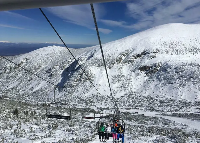 Apartamento In Flora