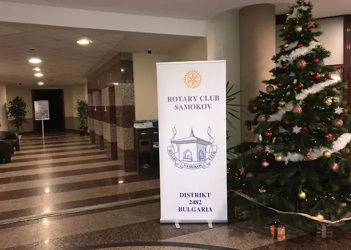 Apartamento In Flora