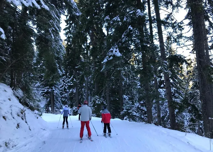 Apartamento In Flora Borovets